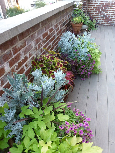 Balcony container garden