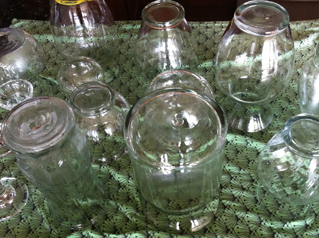 Glass vases from the thrift store