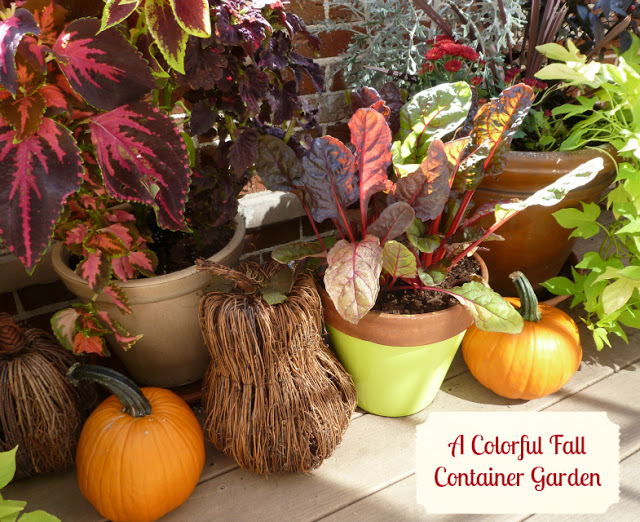 Fall outdoor decor ideas