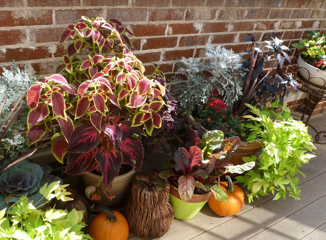 Fall outdoor decor ideas