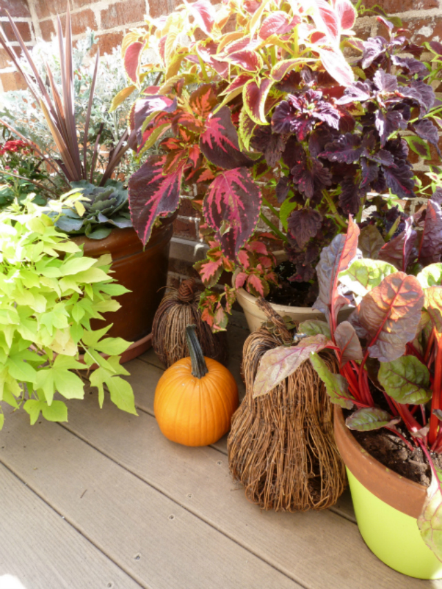 Fall outdoor decor ideas