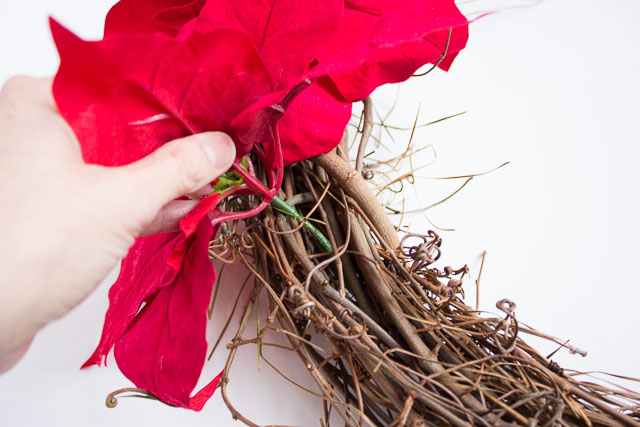 Adding poinsettias to grapevine wreaths