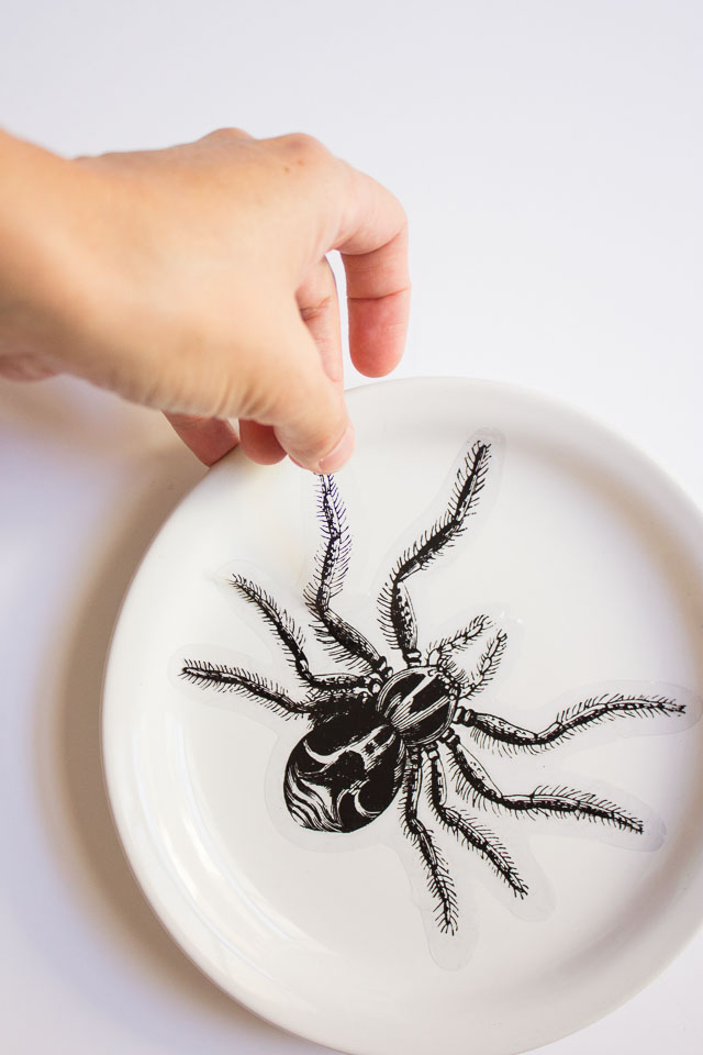 Transform mismatched plates from the thrift store into creepy crawly Halloween wall decor in minutes! http://designimprovised.com