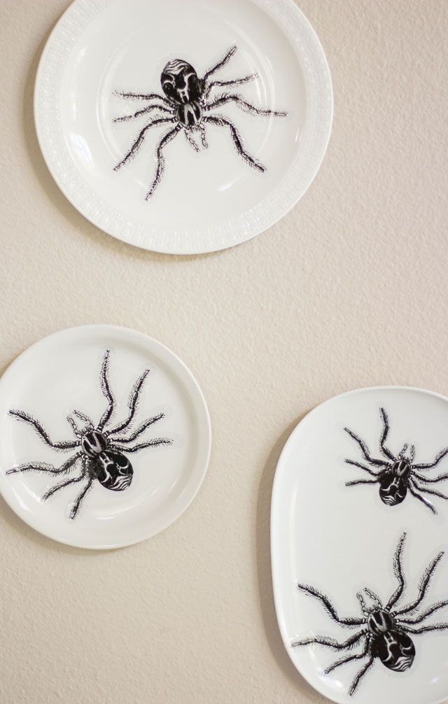 Transform mismatched plates from the thrift store into creepy crawly Halloween wall decor in minutes! http://designimprovised.com