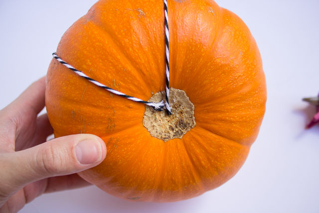 Pumpkin decorating ideas - wrap the stem in baker's twine for a modern look! http://designimprovised.com