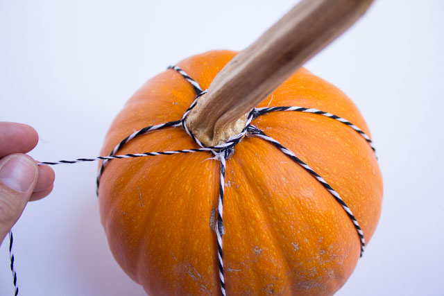 Pumpkin decorating ideas - wrap the stem in baker's twine for a modern look! http://designimprovised.com