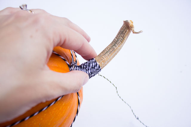 Pumpkin decorating ideas - wrap the stem in baker's twine for a modern look! http://designimprovised.com