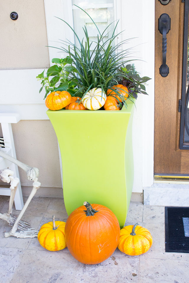 5 Steps to a Spooky Halloween Front Porch!