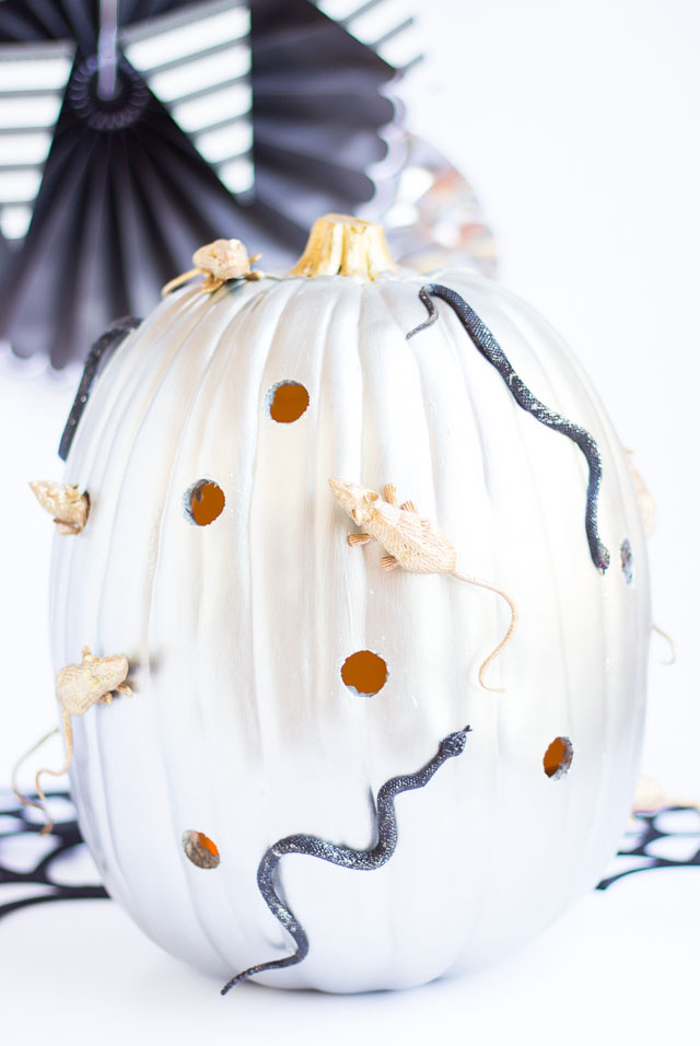 Mice and snake creepy Halloween pumpkin idea #pumpkinideas #pumpkindecoratingideas