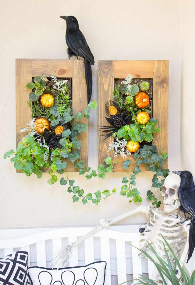 5 Steps to a Spooky Halloween Front Porch!