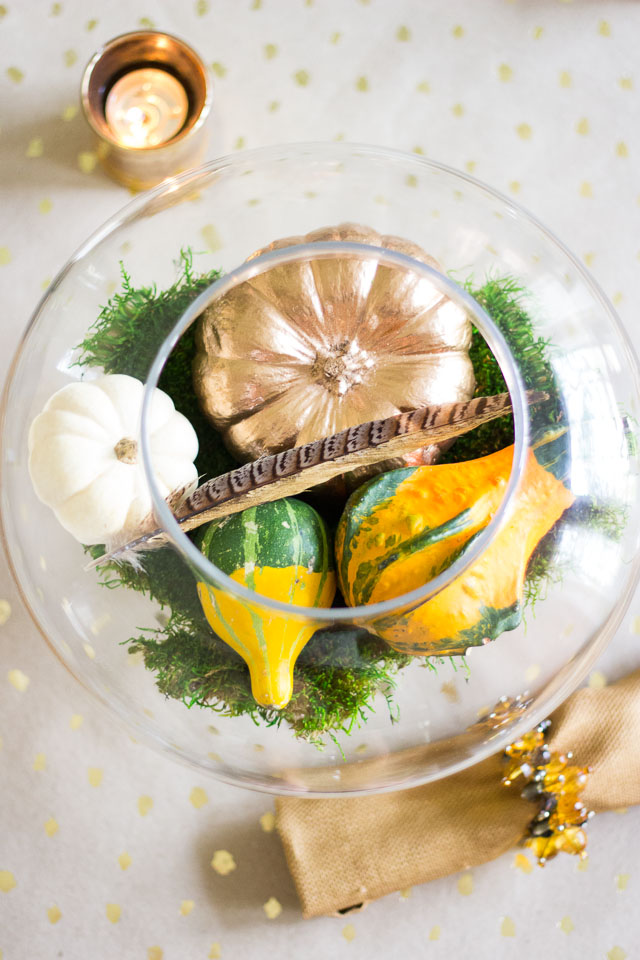 Fall terrarium with pumpkins and gourds