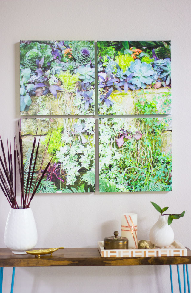 How to make succulent photo wall art #photowallart #photocrafts #succulentart