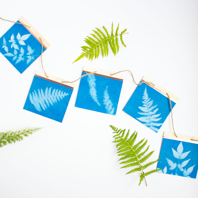 DIY Sun Print Leaf Art