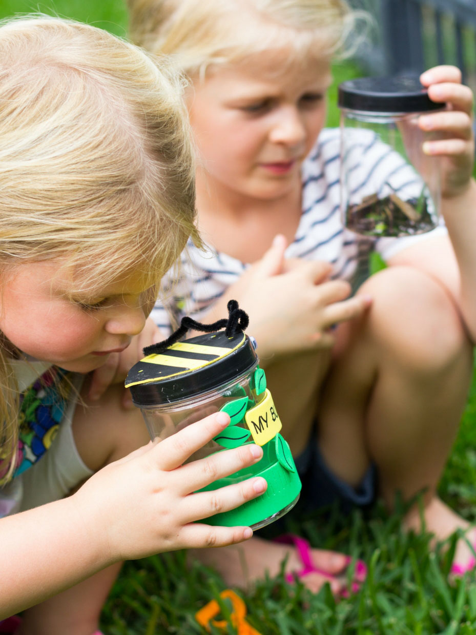 Summer camp All About Bugs activities #summercampactivities #summercamp