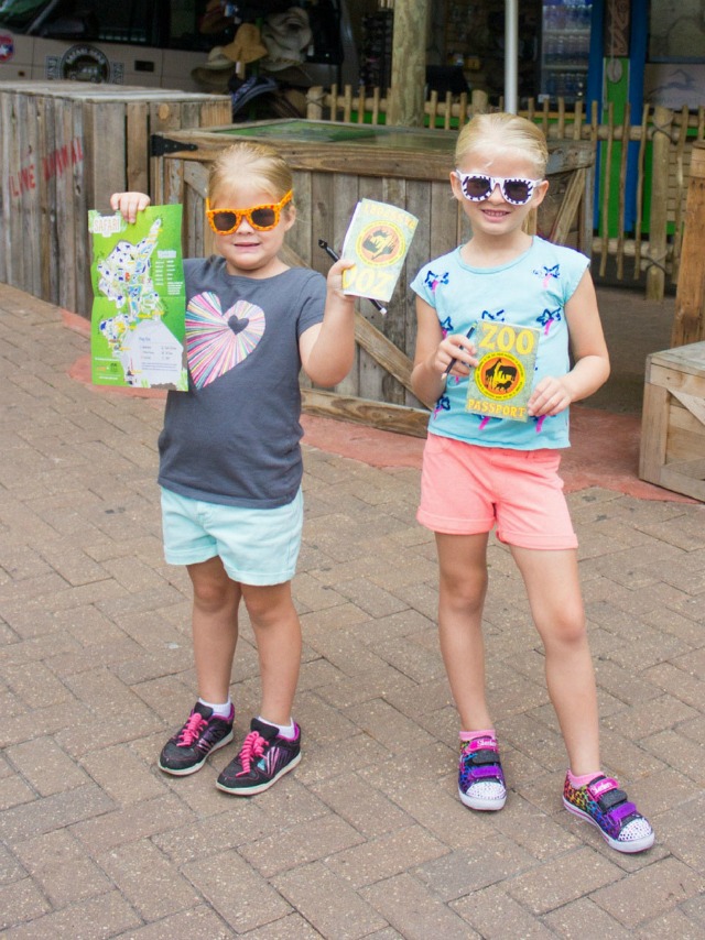 Camp Fun: Zoo Explorers Week