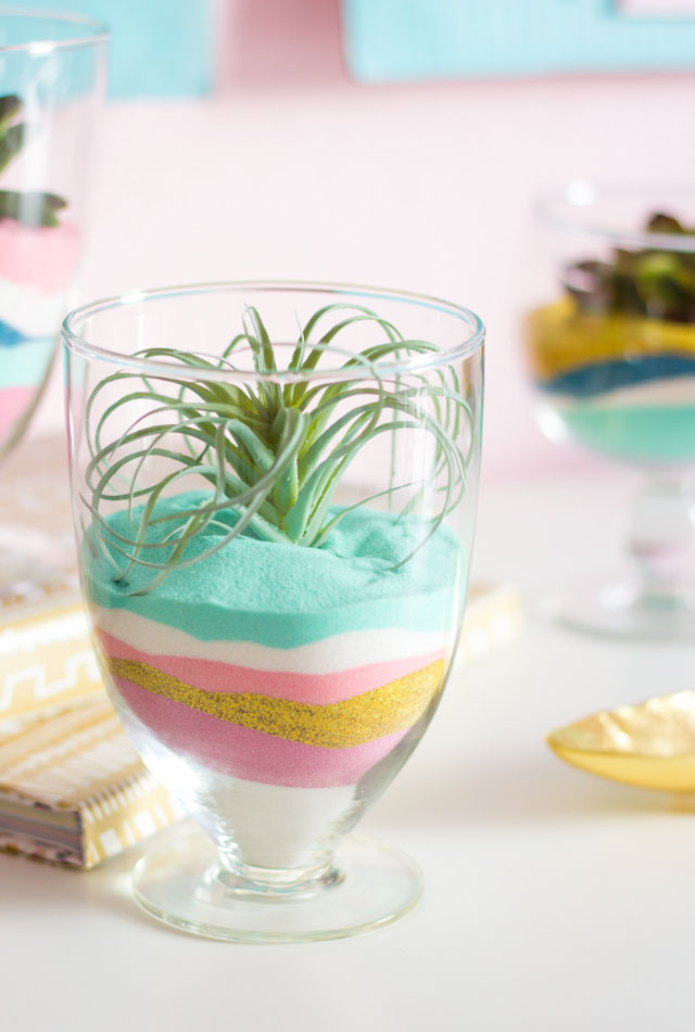 Create these modern terrariums with just colored sand and faux air plants or succulents!