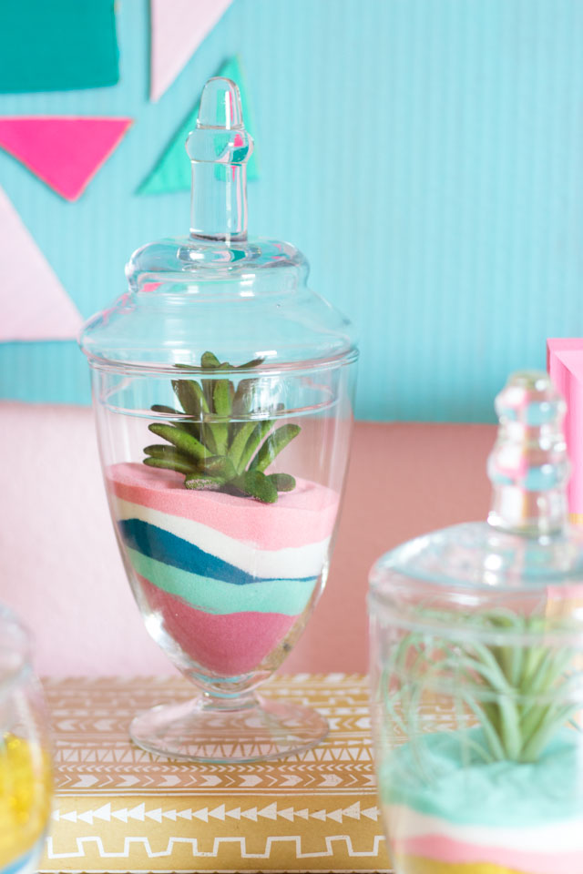 How to make sand art succulent terrariums - so pretty!