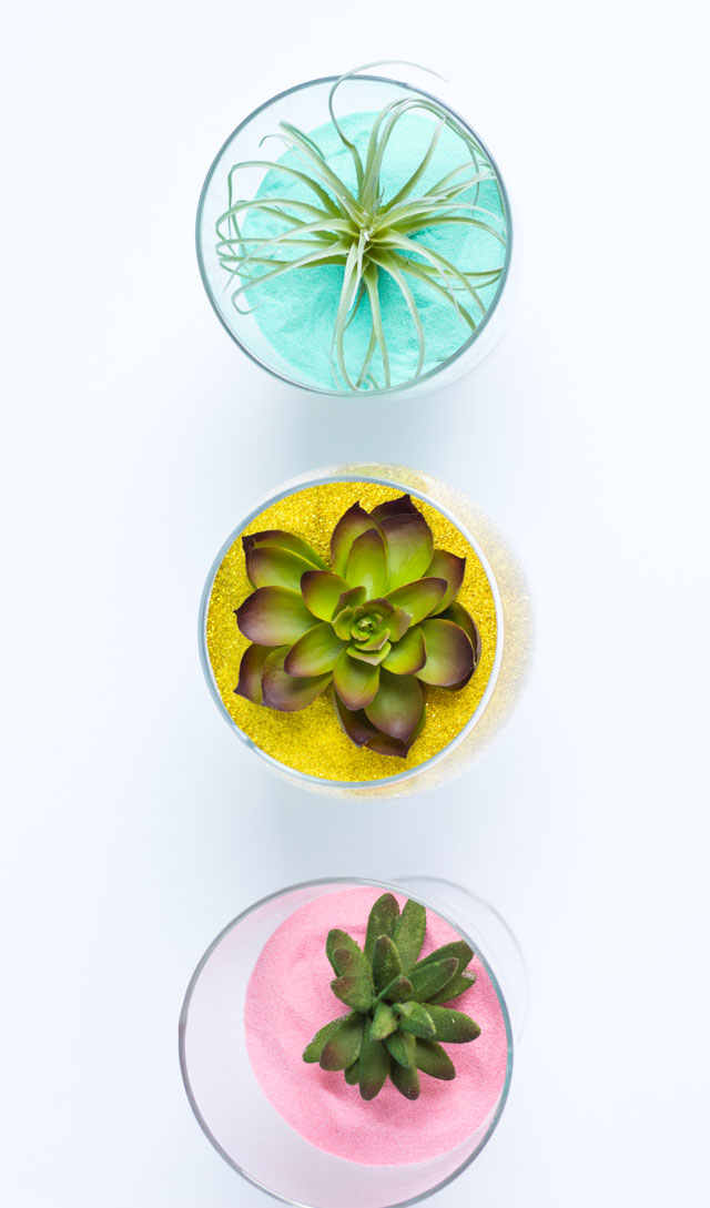 Gorgeous colored sand terrariums