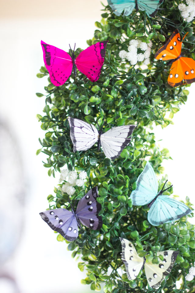 Make this simple and gorgeous DIY spring butterfly and boxwood wreath! Make this simple and gorgeous DIY spring butterfly and boxwood wreath!