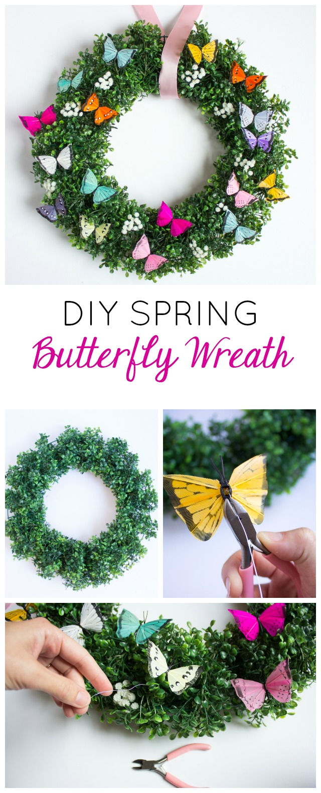 Make this simple and gorgeous DIY spring butterfly and boxwood wreath! Make this simple and gorgeous DIY spring butterfly and boxwood wreath!