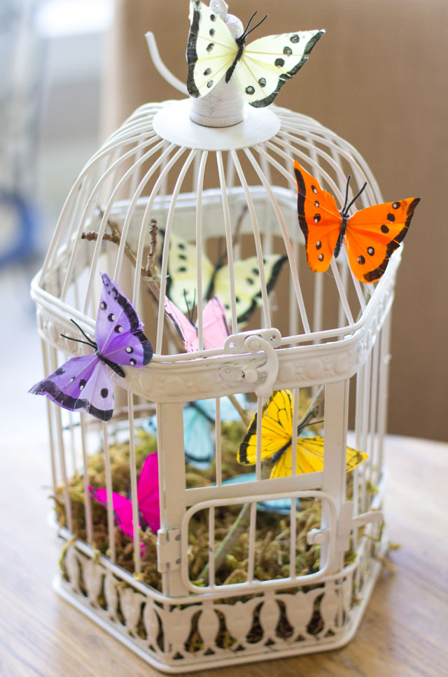 Decorate a bird cage with feather butterflies!