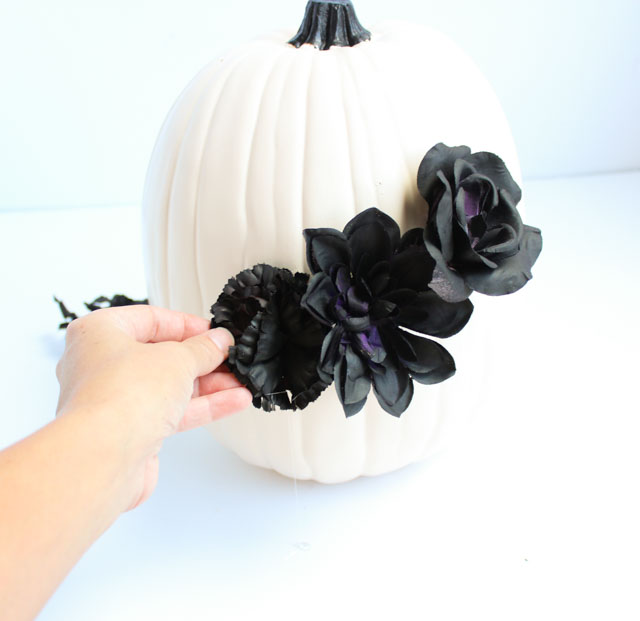 Make these DIY black flower pumpkins with dollar store flowers. The perfect mix of pretty and spooky for Halloween!