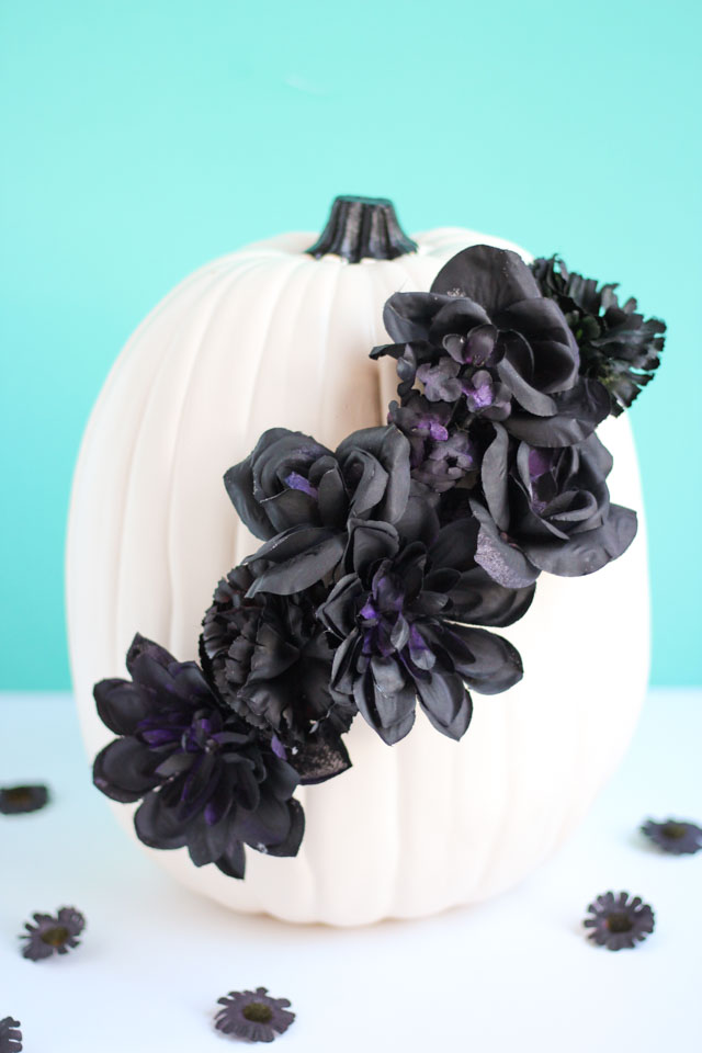 Make these DIY black flower pumpkins with dollar store flowers. The perfect mix of pretty and spooky for Halloween! Make these DIY black flower pumpkins with dollar store flowers. The perfect mix of pretty and spooky for Halloween!