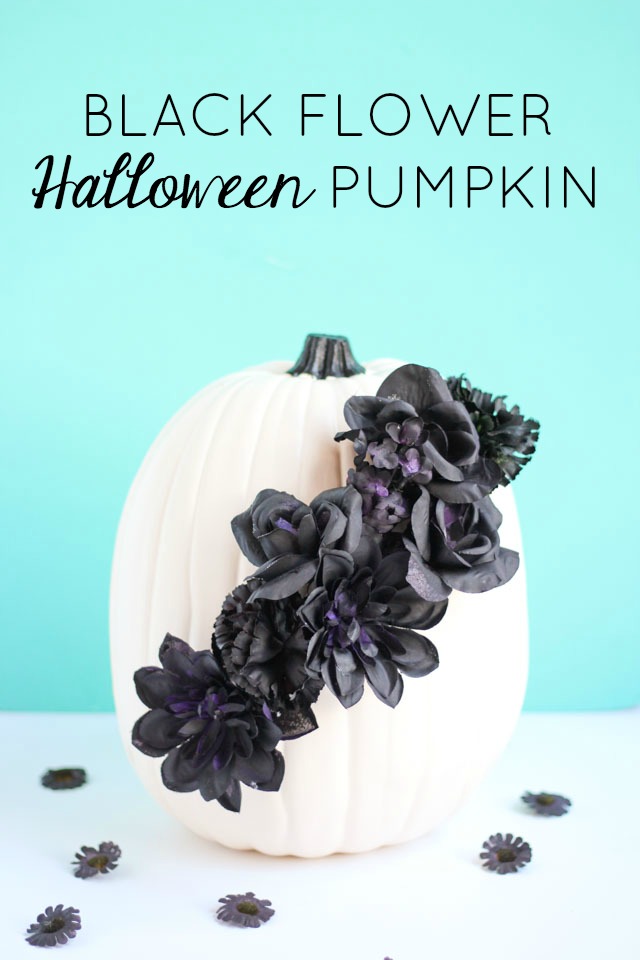 Make these DIY black flower pumpkins with dollar store flowers. The perfect mix of pretty and spooky for Halloween!