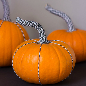 Baker's twine pumpkins - such a fun way to dress up the stems! Baker's twine pumpkins - such a fun way to dress up the stems!