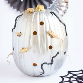 Make a creepy-crawly pumpkin with mice and snakes for Halloween! Make a creepy-crawly pumpkin with mice and snakes for Halloween!