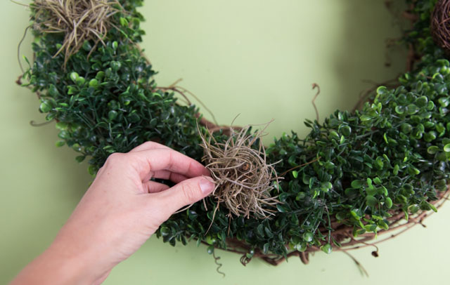 Make a beautiful spring wreath with faux birds, greenery, and nature elements. #birdwreath #springwreath #naturecrafts #birdcrafts