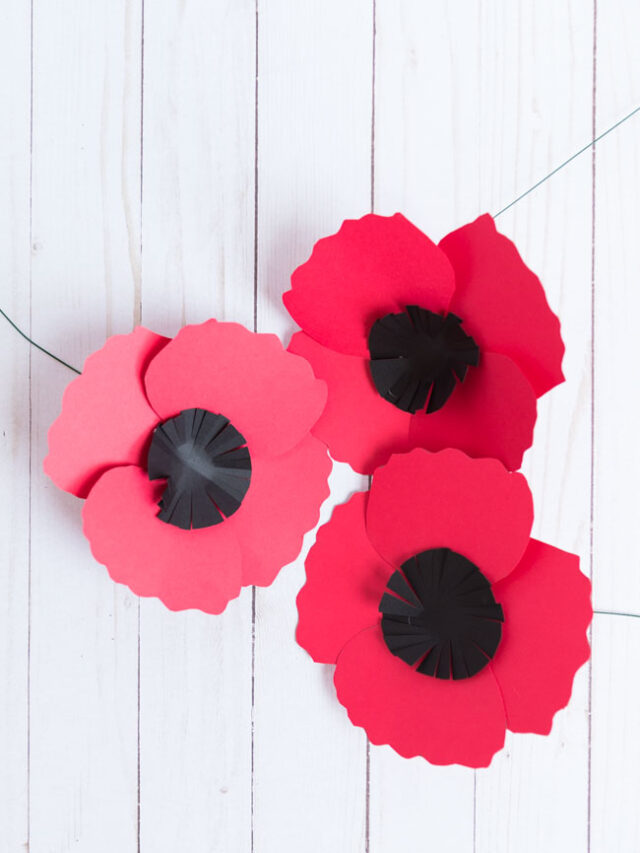Paper Poppies for Memorial Day