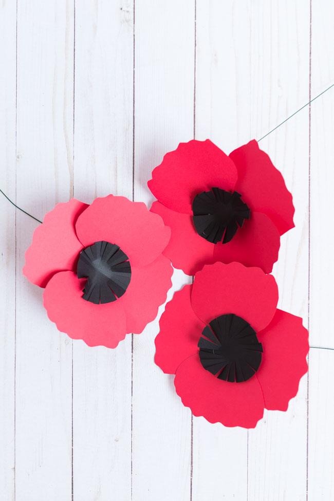 How to make a poppy flower with paper - tutorial and pattern