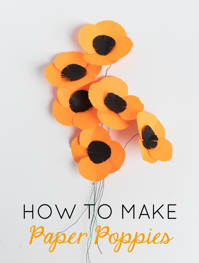 How to make paper poppies