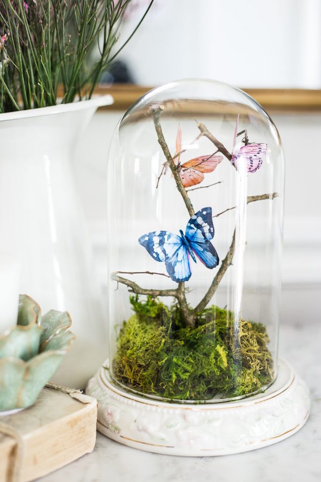 DIY Butterfly Terrarium