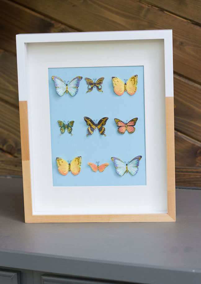 DIY Butterfly Specimen Wall Art - Design Improvised