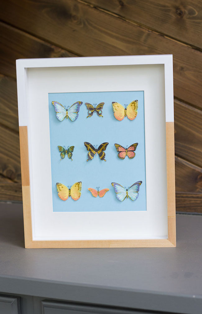 DIY Butterfly Specimen Art Frame