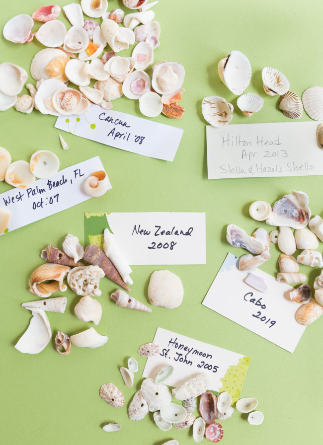 Ideas for seashell crafts