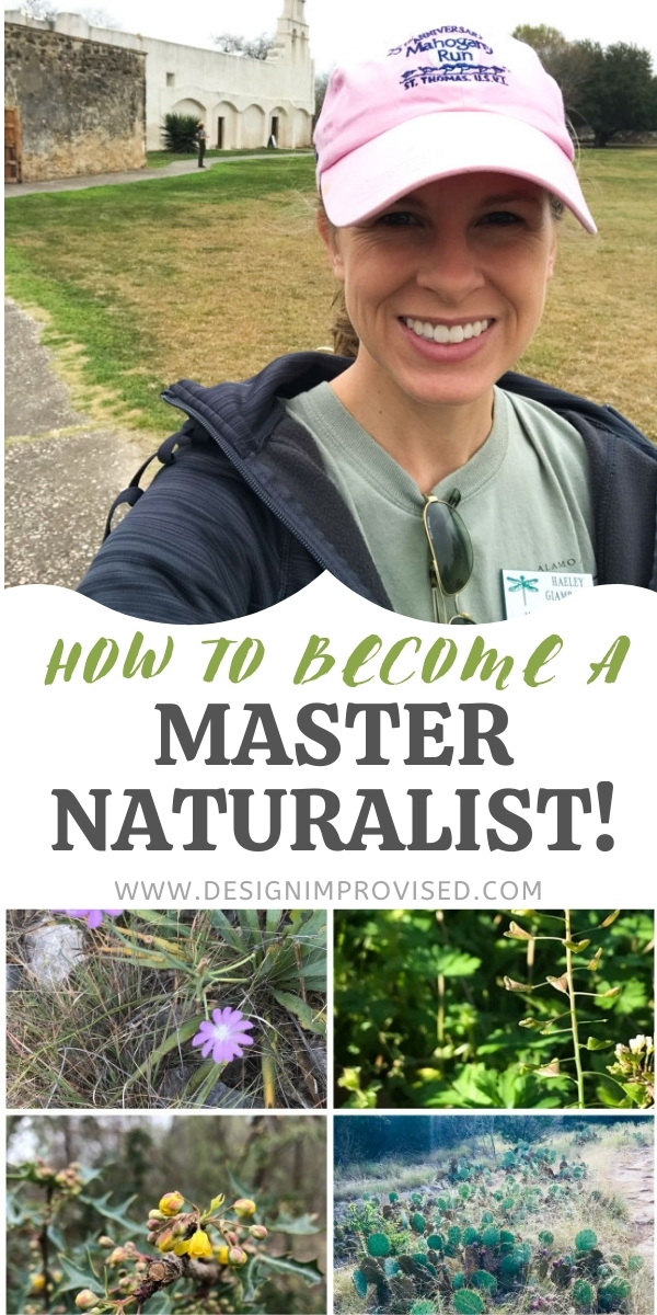 What is a Master Naturalist?