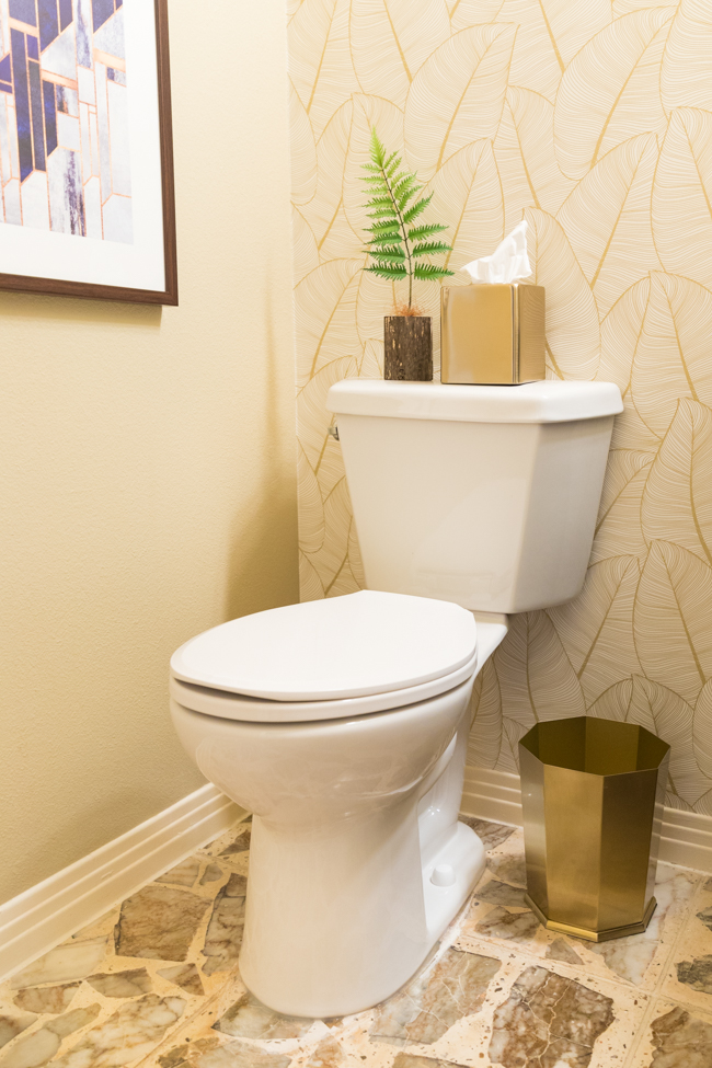 Denali toilet from Mansfield Plumbing available at Lowes.com