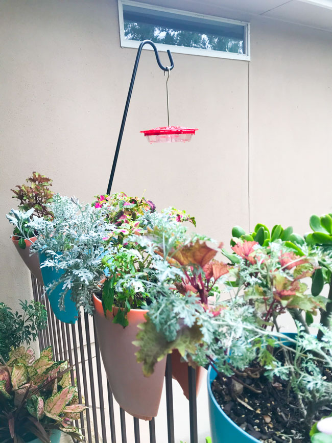 Hummingbird feeder on balcony