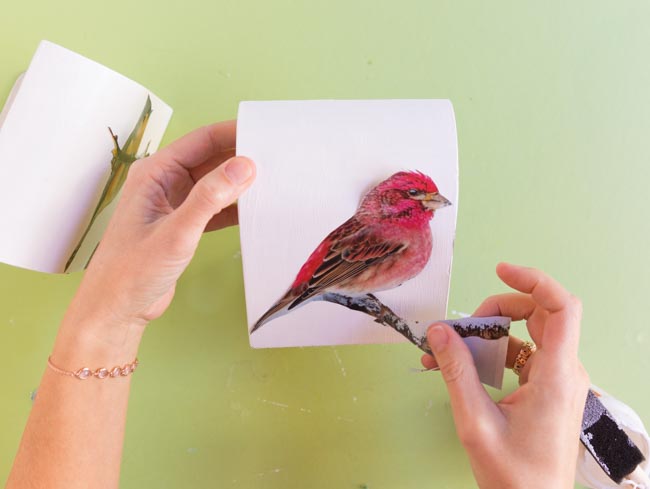 Decorating a bookend with bird pictures