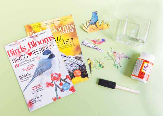 Supplies for DIY decoupage bird vase