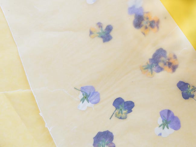 How to press pansies