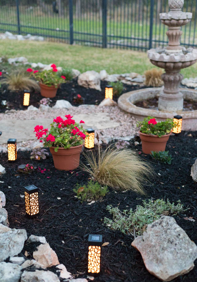 Transforming our Yard with Brightology Solar Lights