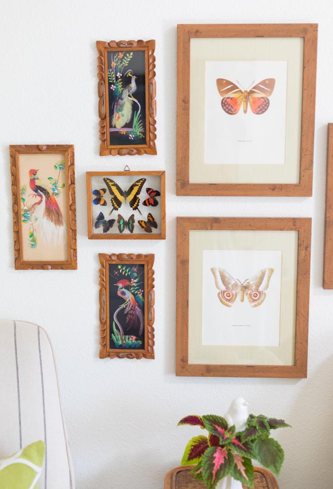Butterfly and bird wall decor