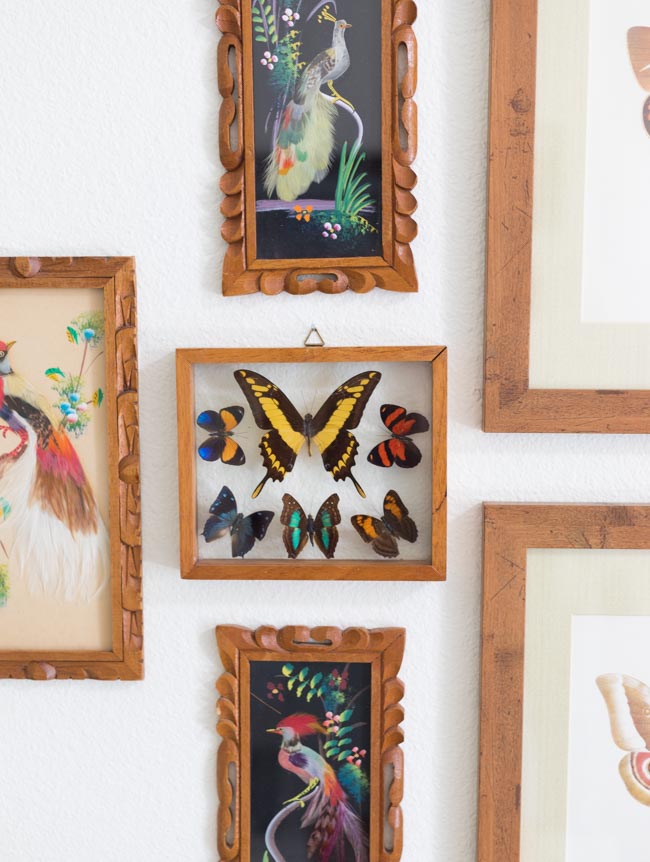 Butterfly wall decor