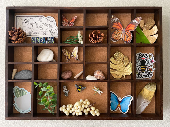 Nature display box