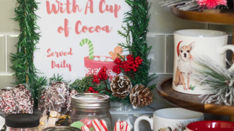 Try This Simple Hot Cocoa Bar Idea! - Design Improvised